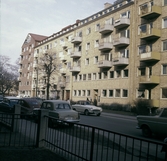 Bilar parkerade längst Trädgårdsgatan, 1960-tal