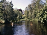 Svartån vid Karlslund, 1960-tal