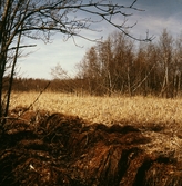 Vid Markasjön i Almby, 1967