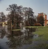 Översvärmning i Ånäsparken, 1970-tal