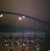 Gymnastikuppvisning i Brunnsparken, 1960-tal