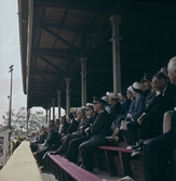 Publik på Eyravallen läktare vid invigningen Örebro 700 år, 1965