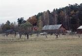 Bertil Ifwers museum.