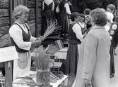 Hembygdens år. Hembygdens dag på Skansen.