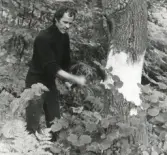 Kursen Vård av ängar och hagmarker 13-14 september 1980.