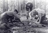 Kurs i arkeologi 1981. Rösaring, Låssa socken, Upplands-Bro kommun.