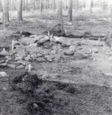 Husgrund på Rösaring undersökt 1982.