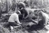Arkeologikurs på Rösaring 1981.