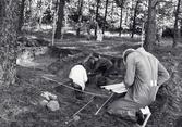 Arkeologikurs vid S:t Botvids kyrkogård aug-sept 1984.