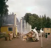 Grisfest i Brunnsparken, 1965