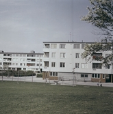 Markbacken, 1970-tal