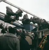 Kunder vid pälshandlaren vid Hindersmässan, 1970-tal