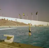 Dyk från hopptorn vid Gustavsviksbadet, 1960-tal