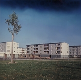 Markbacken, 1960-tal