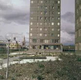 Terassen på Krämaren, 1960-tal