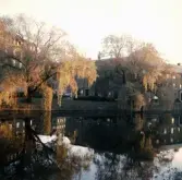 Konserthuset speglar sig i Svartån, 1960-tal