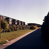 Gångväg mellan hyreshusen i Vivalla, 1970-tal