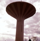 Svampen reser sig mot skyn, 1960-tal