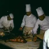 Grisfest i Brunnsparken, 1965