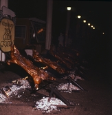 Grisfest i Brunnsparken, 1965