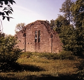 Riseberga klosterruin, 1969