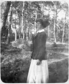 Edvin Petterssons samling