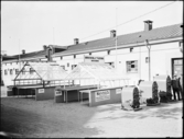 Stockholmsutställningen 1930, Hötsch & Co. tillverkare av växthus, värmesystem, värmepannor