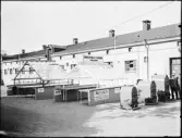 Stockholmsutställningen 1930, Hötsch & Co. tillverkare av växthus, värmesystem, värmepannor