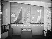 Stockholmsutställningen 1930
Svea Rike, diverse statistik, geografi, ekologi