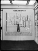 Stockholmsutställningen 1930
Svea rike, Kunskapens träd