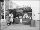 Stockholmsutställningen 1930
Paviljonger Hot Dog