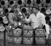 Tävling i Linköping om att hitta på rätt namn på två MC kossor