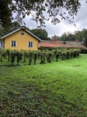 Ett gulmålat bostadshus på Sporred Tvärgården i Sporred, Kållered, i Mölndals kommun, den 20 september 2019. Byggt cirka 1940.