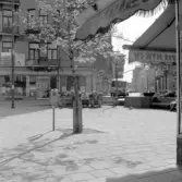 Näbbtorget, maj 1978