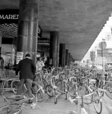 Cykelparkering vid Krämaren, maj 1978
