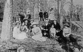 Sällskap i skogsmiljö, 1910-tal