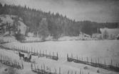 Hästskjuts på Rövarbron, 1890-tal