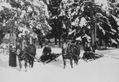 Skogsarbetare med hästar, 1940-tal