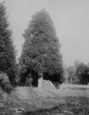 Hällshyttebruden, 1930-tal