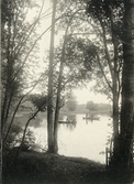 Arboga sf.
Andjakt, 1901.