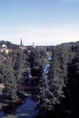 Svartån i Västerås