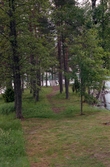 Skogsklädd udde, vid Vårviks kyrka.