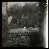 1950. Frankrike. St. Paul. Duvor på tegeltak