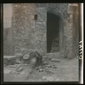 1950. Frankrike. Hund gräver bland sopor