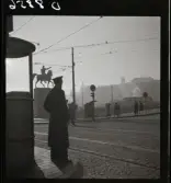 542 Dimma. Trafikpolis.