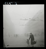 542 Dimma. En kvinna med ett litet barn i handen passerar en korsning i dimma.