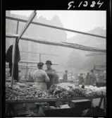 542 Dimma. Grönsakshandel på Hötorget.