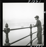 542 Dimma. En man står och blickar ut över dimmig kanal.