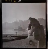 542/B Dimma. Offentlig konst. Sjöguden av Carl Milles på Skeppsbron.