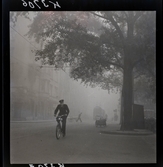 542/B Dimma. En man kommer cyklandes på dimmig gata.